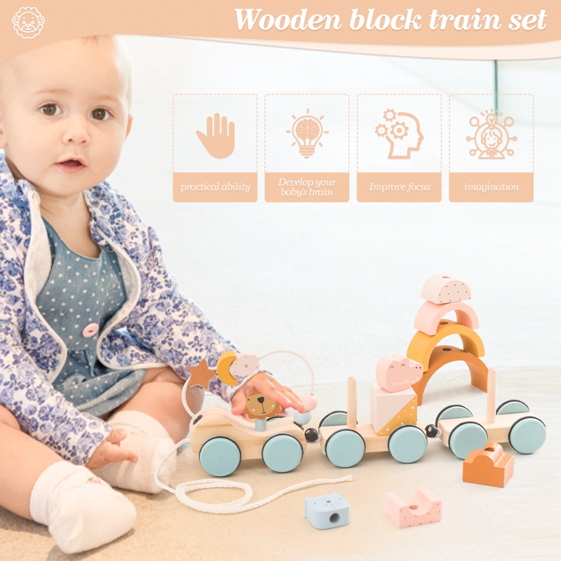 Wooden Montessori Toys Animal  - Wooden Blocks Stacking review and price