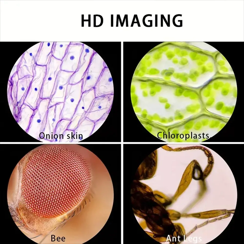 Microscope 60-120X Lab Handhel - Microscope Kids Science review and price