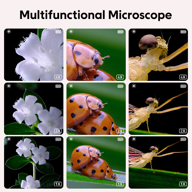 Mini Kids Optical Microscope W - Microscope Kids Science review and price