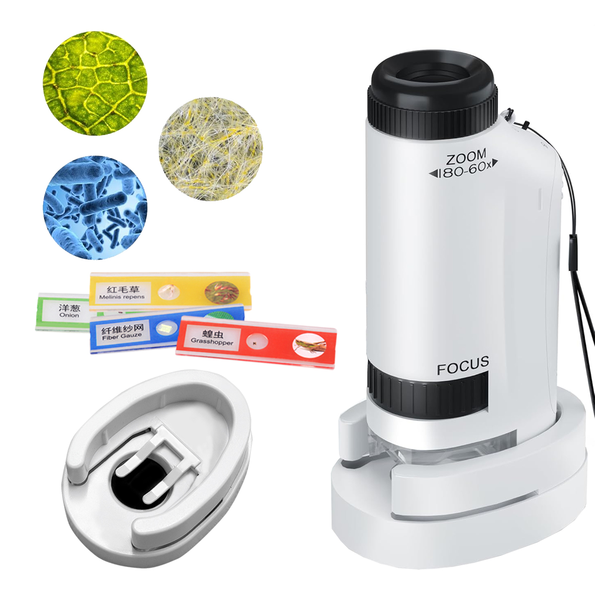 Mini Microscope Handheld Toys  - Microscope Kids Science review and price